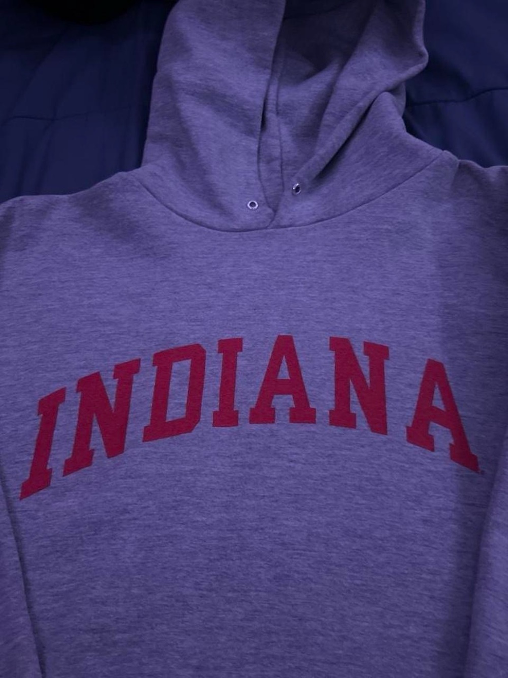 Lee Gray Crewneck with Red Indiana Arch
